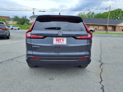 2025 Honda CR-V EX-L